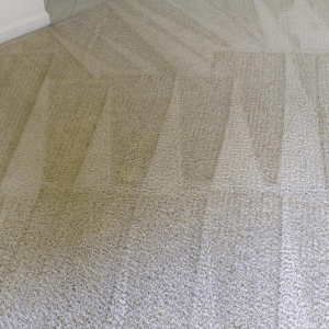 Domestic Carpet Cleaning