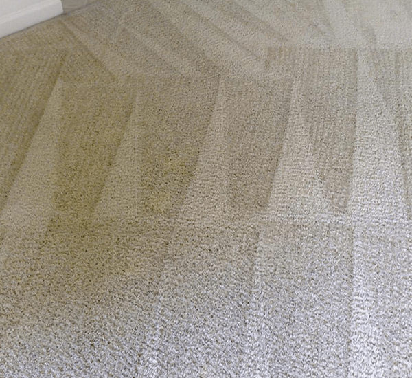 End of Tenancy Carpet Cleaning