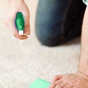 Carpet Cleaning Tips for Beginners