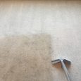 Dining Room – Carpet Cleaning