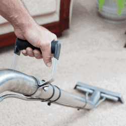 Carpet Cleaning Waddon