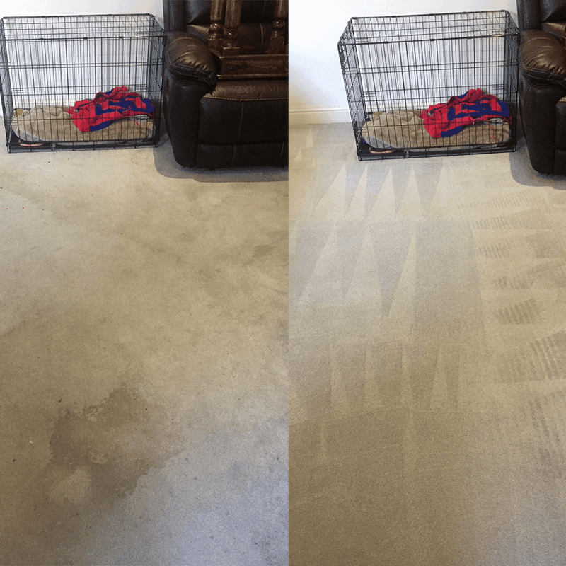 Carpet-Cleaning-Bromley