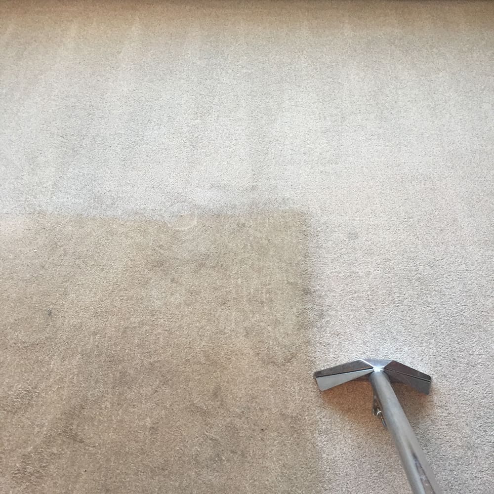 Carpet-Cleaning-North Finchley